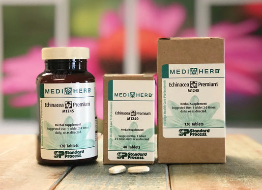 Echinacea – The Romeo to My Juliet